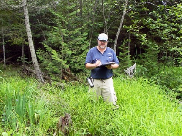 Affiliated Researchers Wetland Determination Services
