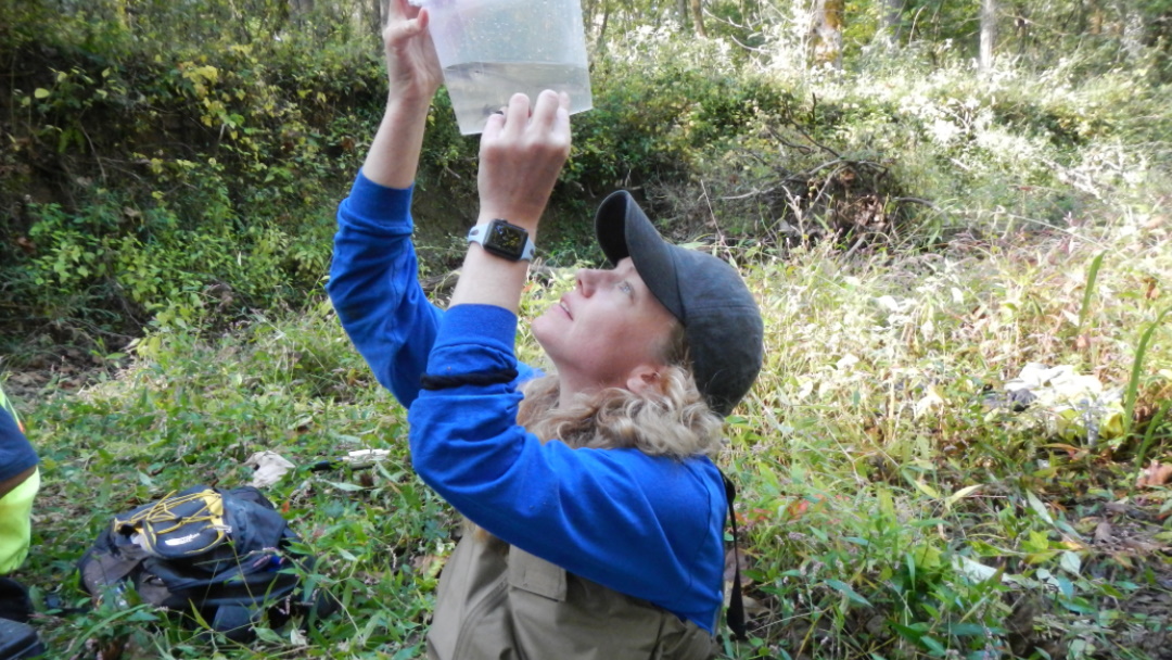 Affiliated Researchers Benthic Invertebrate Sampling for proposed Dam Removal study