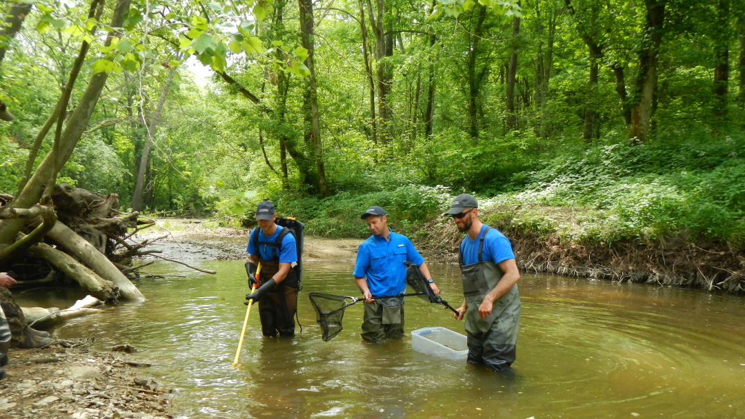 Affiliated Researchers Conducts Bio Inventory of LIttle Otter Fork Indiana